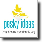 pesky-ideas